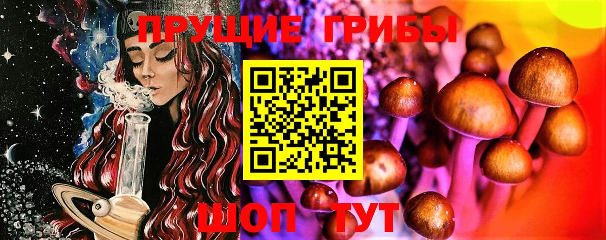 Мытищи  Галлюциногенные грибы прущие грибы  Вход с VPN 