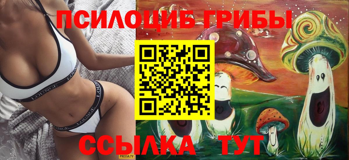 Псилоцибиновые грибы Psilocybe Мытищи